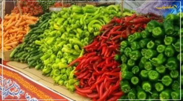 13 جنيهًا للطماطم.. تحديث قائمة أسعار الخضراوات اليوم وهذا سعر كيلو البصل والبطاطس 1